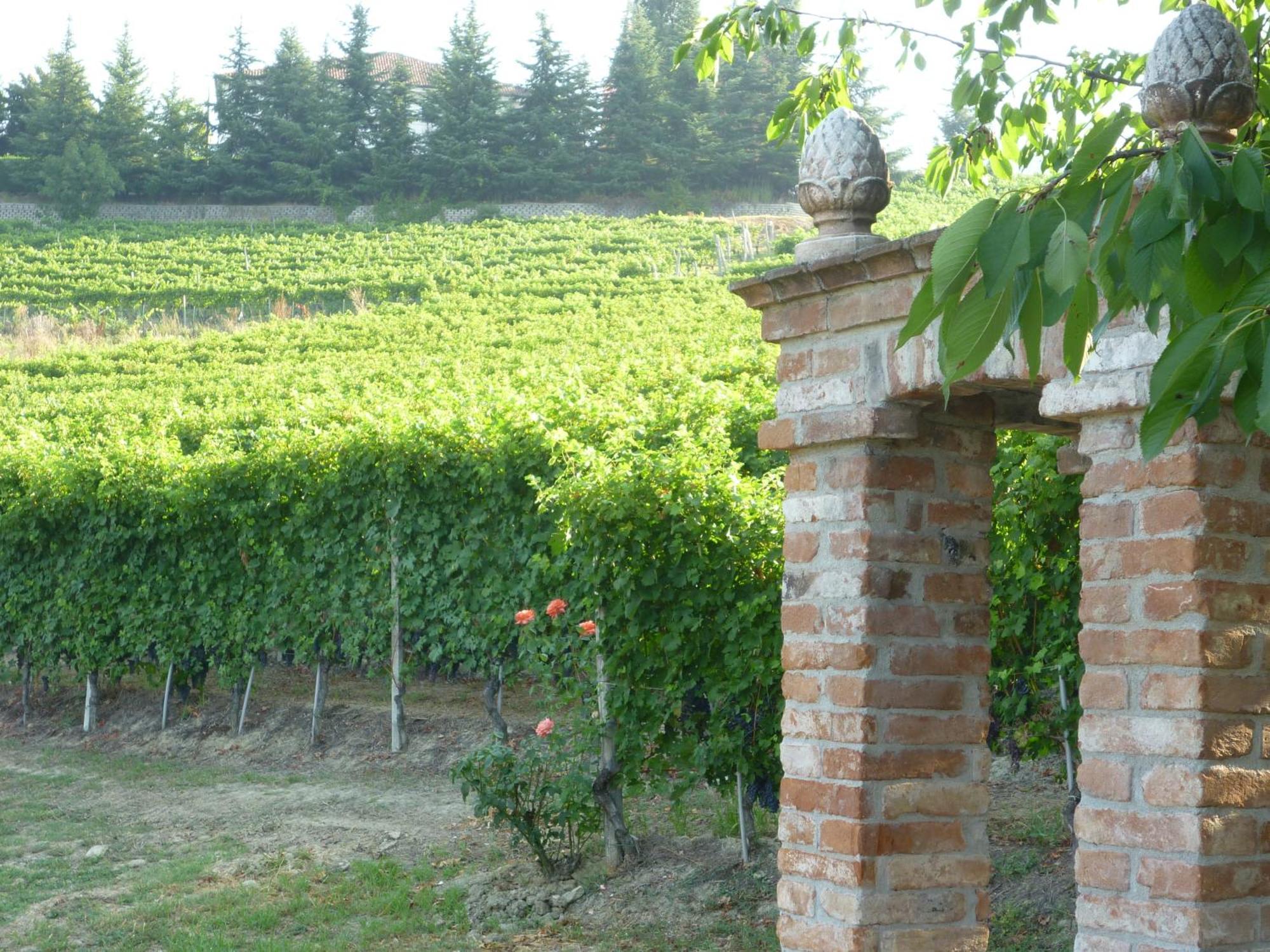 Villa La Favorita Alba  Bagian luar foto